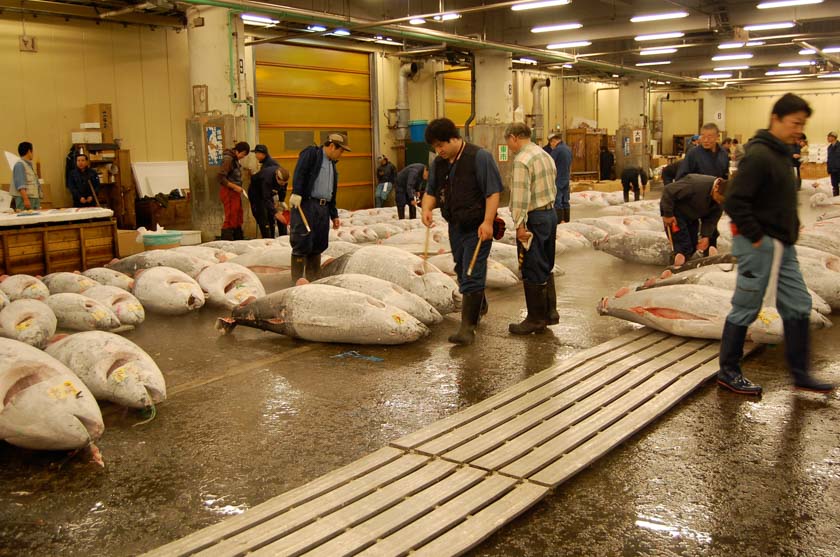 Subasta de atún en el Mercado de Tsukiji